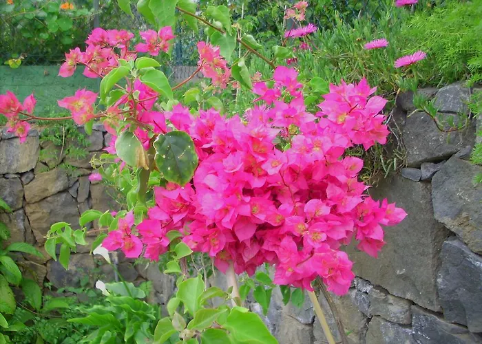 Holiday El Mar * San Juan de la Rambla