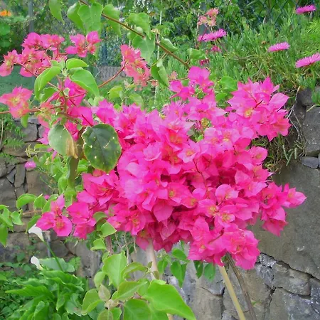 El Mar * San Juan de la Rambla